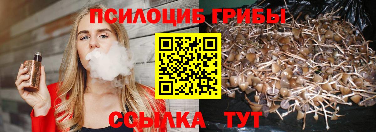 Псилоцибиновые грибы Magic Shrooms Ангарск