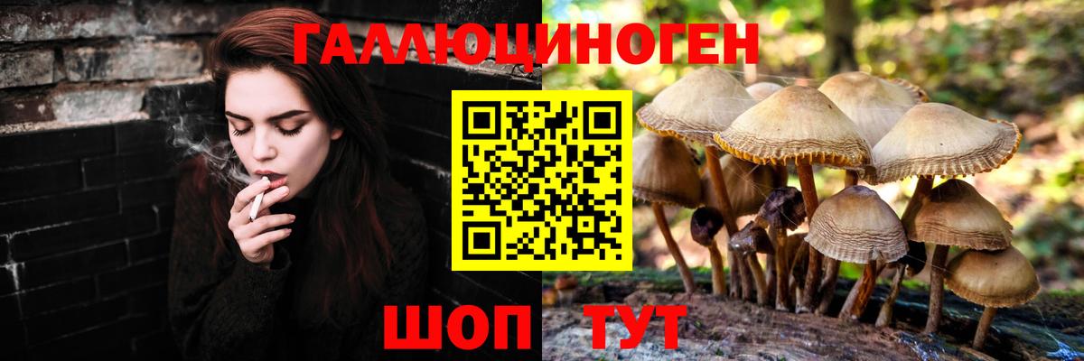 Ангарск  Псилоцибиновые грибы GOLDEN TEACHER  Галлюциногенные грибы Cubensis  Вход с VPN 